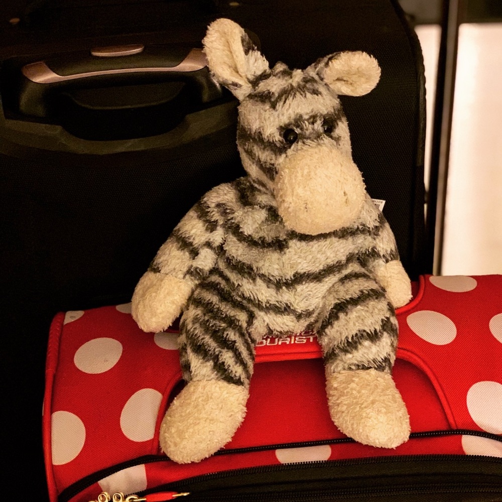 One Stripey boy